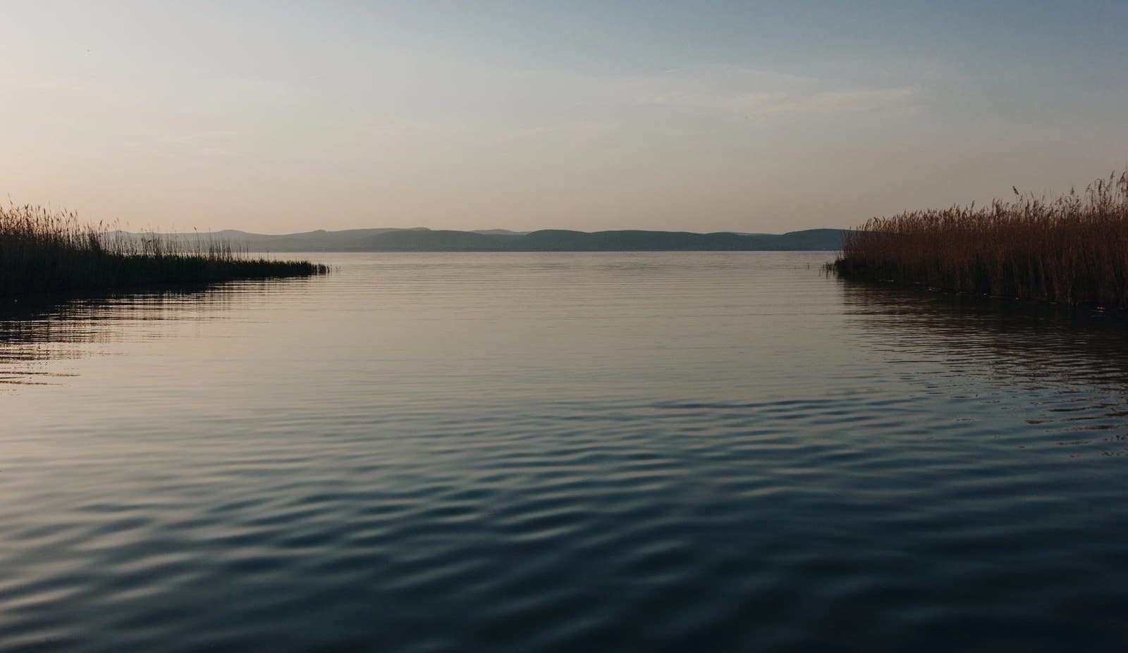 Lake Lanier shoreline at dusk